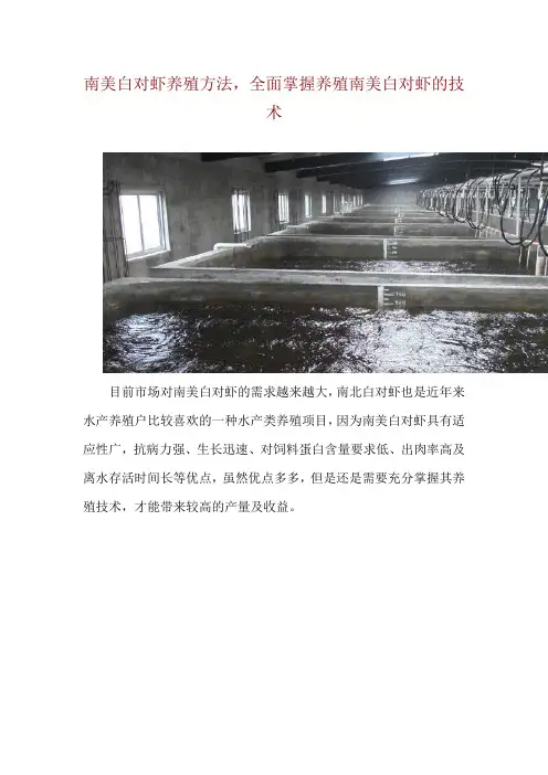 南美白对虾养殖方法,全面掌握养殖南美白对虾的技术