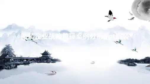 服装企业战略管理案例分析ppt服装