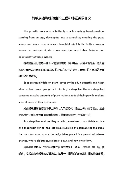 简单描述蝴蝶的生长过程和特征英语作文