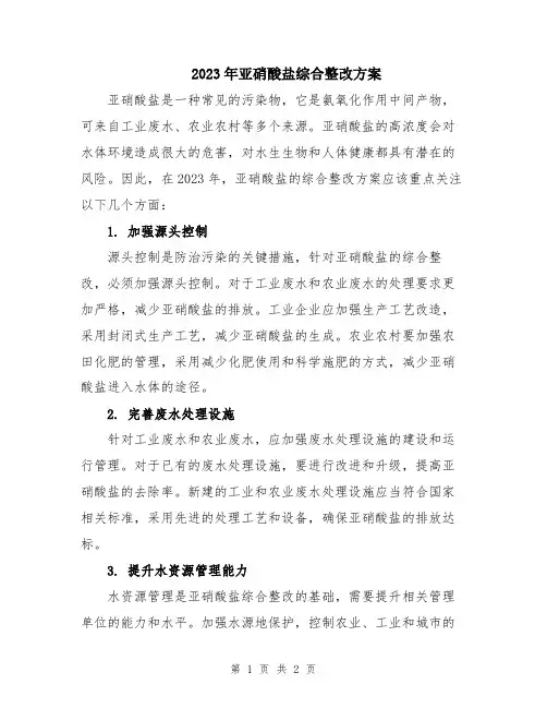 2023年亚硝酸盐综合整改方案