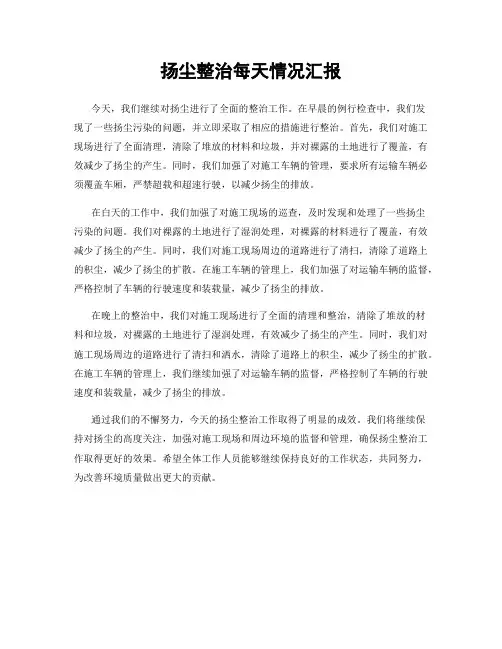 扬尘整治每天情况汇报