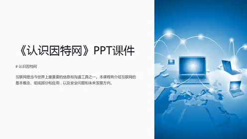 《认识因特网》课件