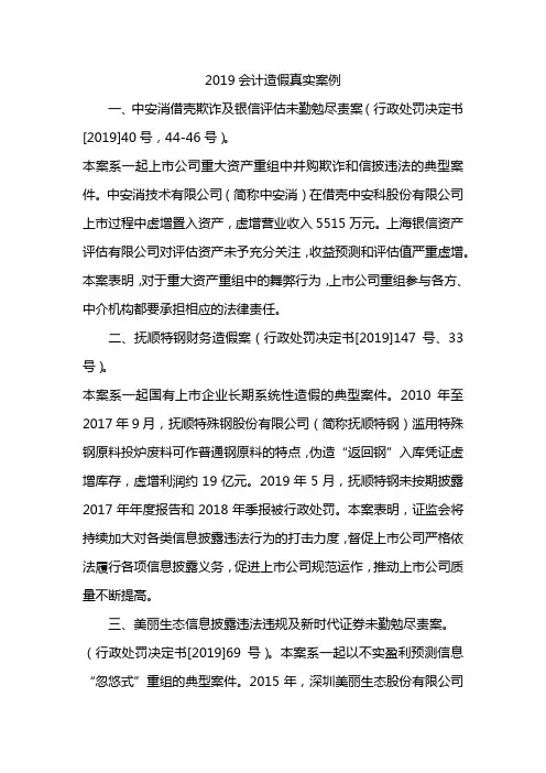 2019会计造假真实案例