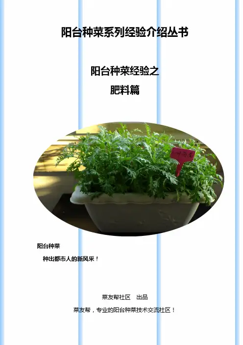 阳台种菜经验总结肥料篇(DIY厨余堆肥)