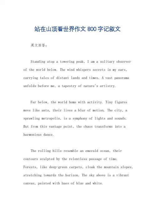 站在山顶看世界作文800字记叙文
