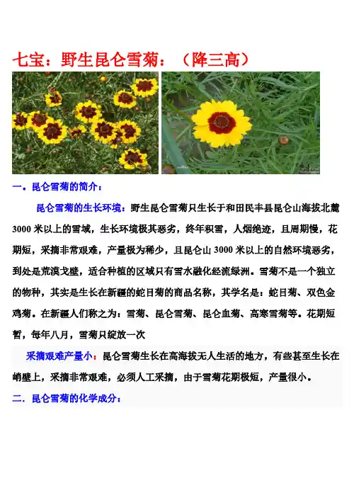 【免费下载】青藏十八宝之野生昆仑雪菊