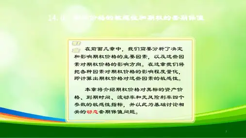期权价格的敏感性和期权的套期保值(PPT 49页)