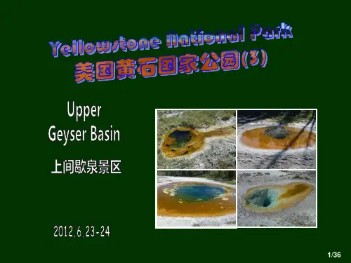 美国黄石国家公园_3_