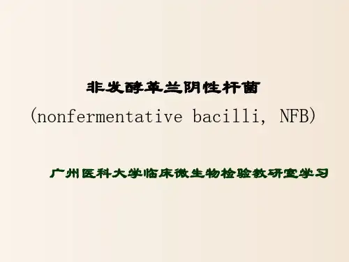 【临床微生物实验】_非发酵菌概述、假单胞菌和嗜麦芽窄食单胞菌