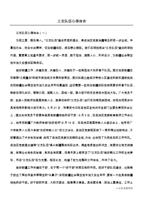三支队伍心得体会