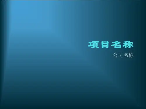 项目路演ppt课件