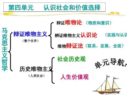2017  高三一轮复习 寻觅社会的真谛