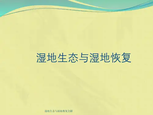 湿地生态与湿地恢复全解
