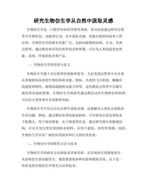 研究生物仿生学从自然中汲取灵感