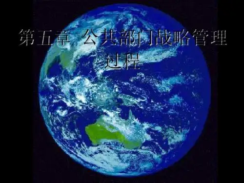 5公共部门战略