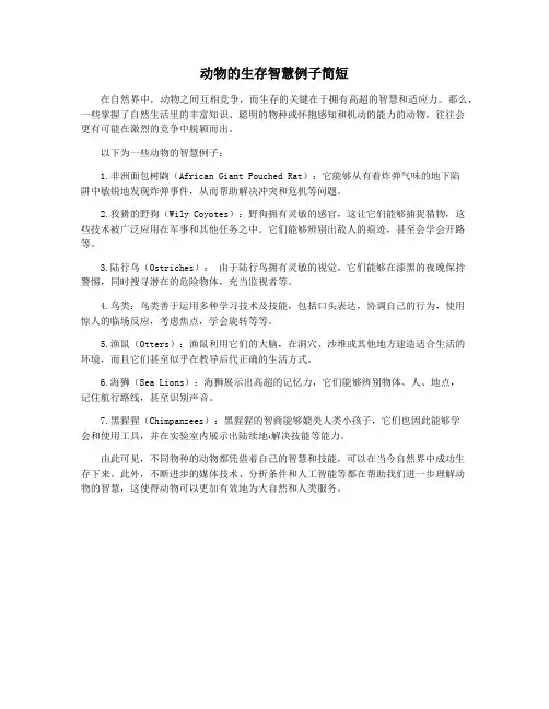 动物的生存智慧例子简短