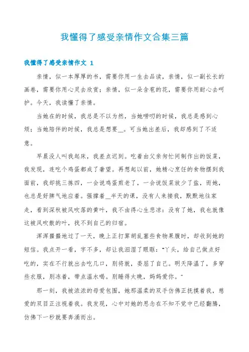 我懂得了感受亲情作文合集三篇