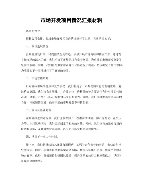 市场开发项目情况汇报材料