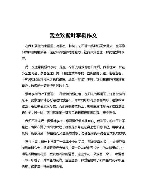 我喜欢紫叶李树作文