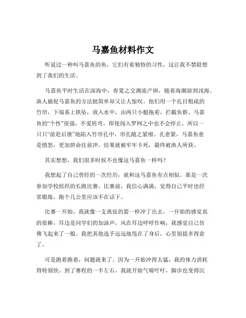 马嘉鱼材料作文