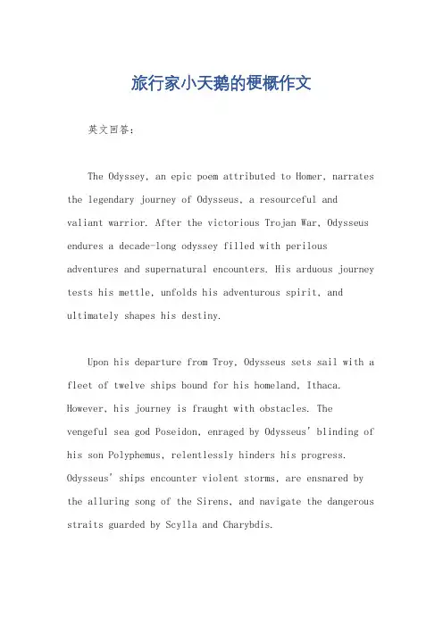 旅行家小天鹅的梗概作文