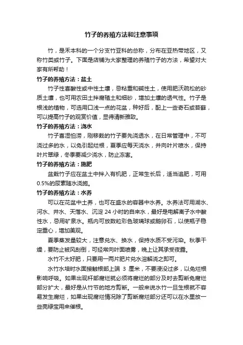 竹子的养殖方法和注意事项