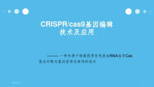 crispr cas9技术课件PPT