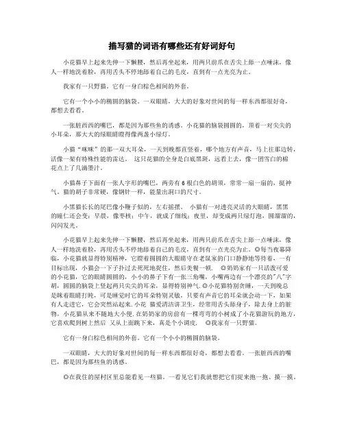 描写猫的词语有哪些还有好词好句