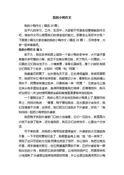 我的小鸭作文（精选20篇）