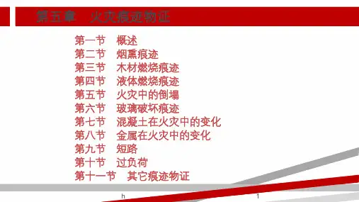痕迹物证(1-4)