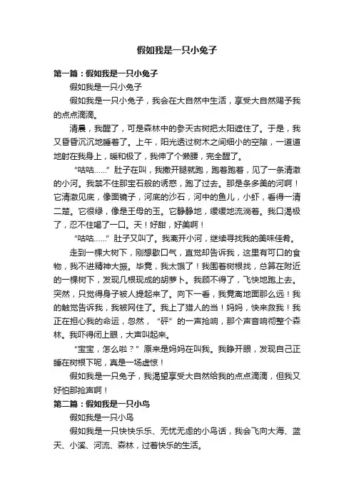 假如我是一只小兔子
