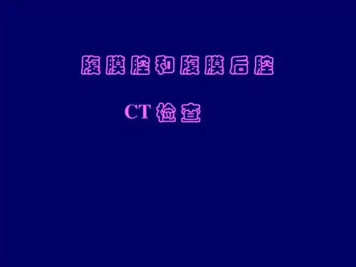 腹膜腔腹膜后CT检查PPT课件