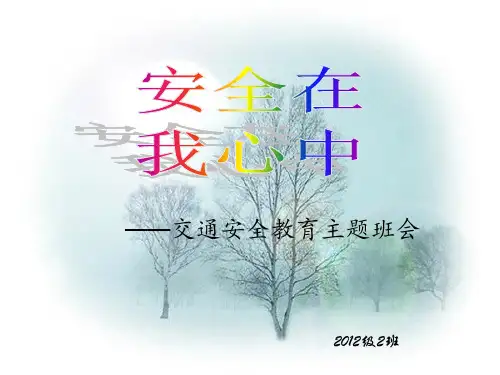 安全在我心中主题班会ppt(PPT53页)