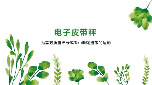 电子皮带秤
