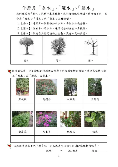 草本植物与木本植物的区别埔心国小