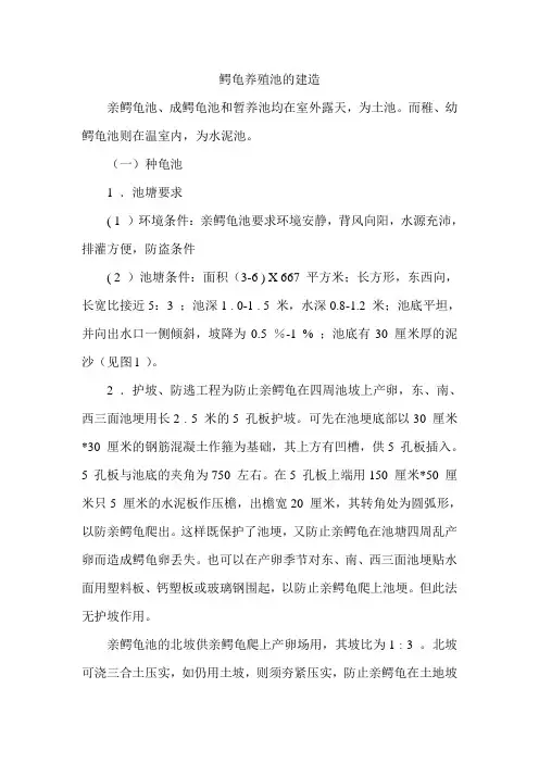 鳄龟养殖池的建造