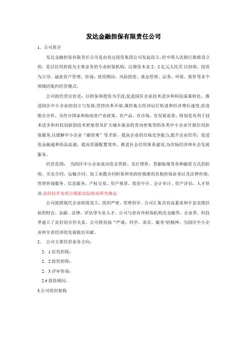 融资担保公司运作方案