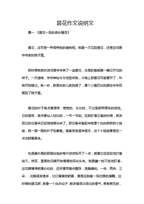 昙花作文说明文