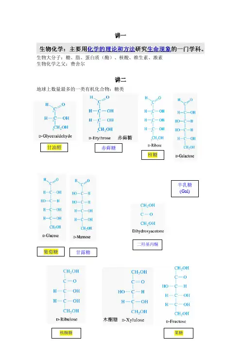 生物化学笔记(王镜岩)