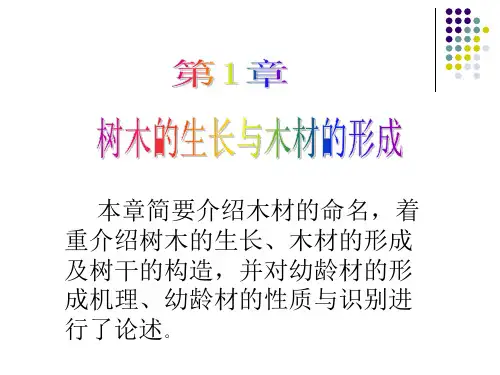 树木的生长和木材的形成过程ppt课件