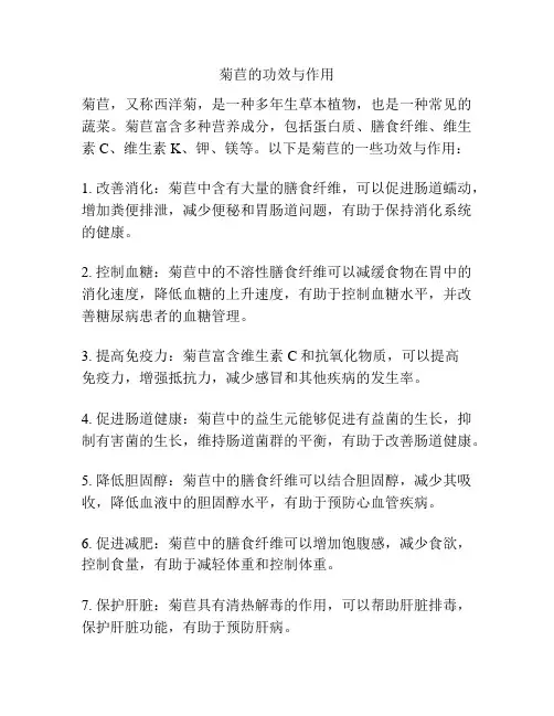 菊苣的功效与作用