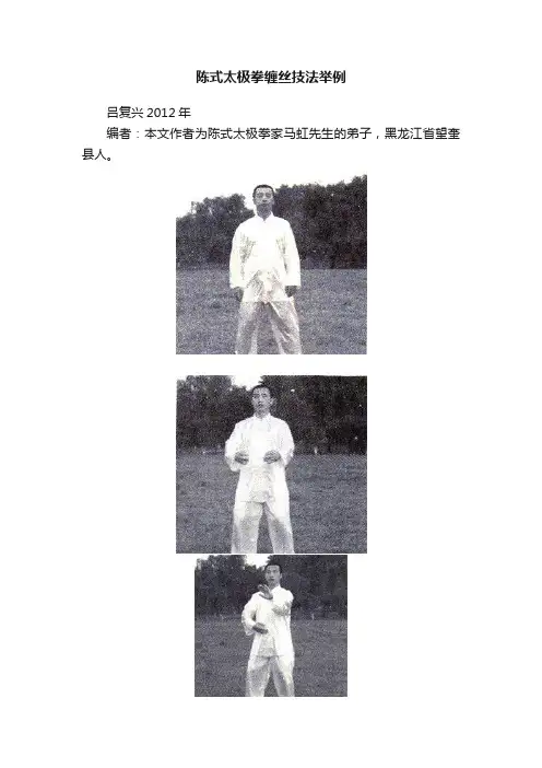 陈式太极拳缠丝技法举例