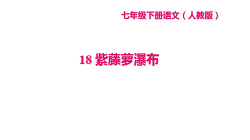 部编人教版七年级语文下册作业课件(RJ) 第五单元 18 紫藤萝瀑布