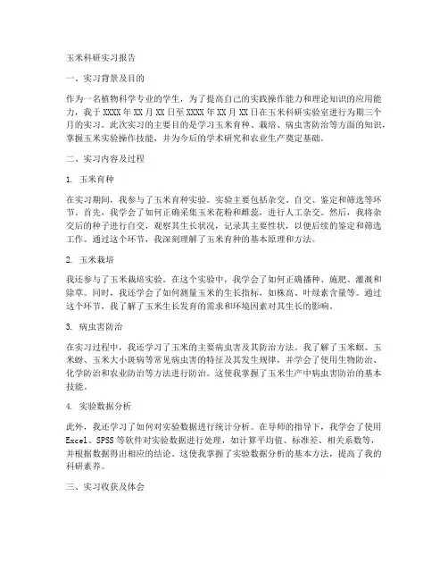 玉米科研实习报告