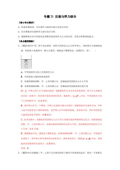 压强与浮力综合(解析版)-2023年中考物理二轮复习核心考点精讲与必刷题型精练(全国通用)