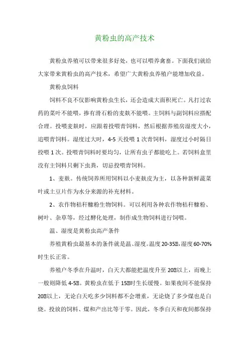 黄粉虫的高产技术