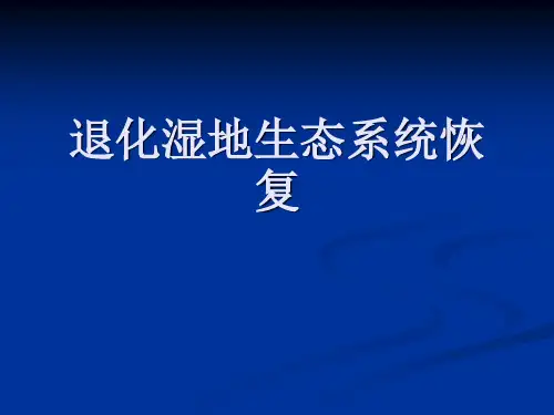 退化湿地生态恢复PPT课件