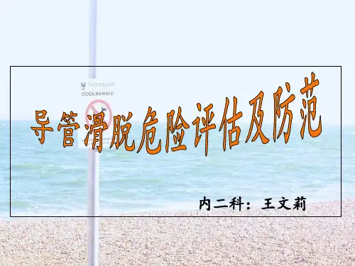 导管脱落危险及防范 ppt课件