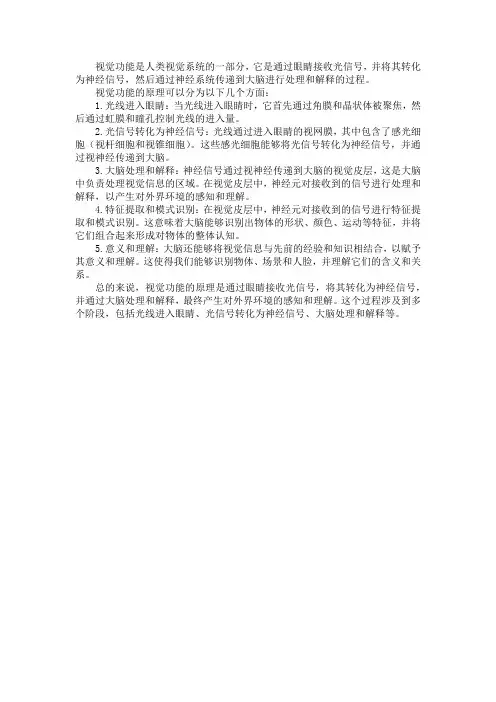 视功能原理