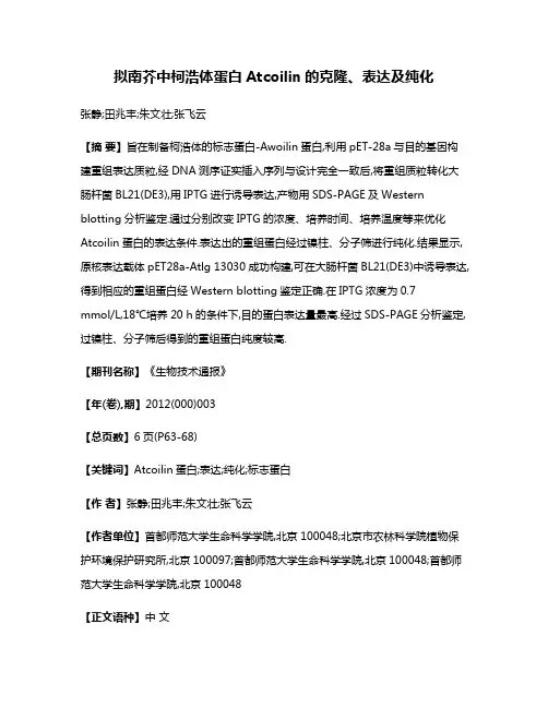 拟南芥中柯浩体蛋白Atcoilin的克隆、表达及纯化